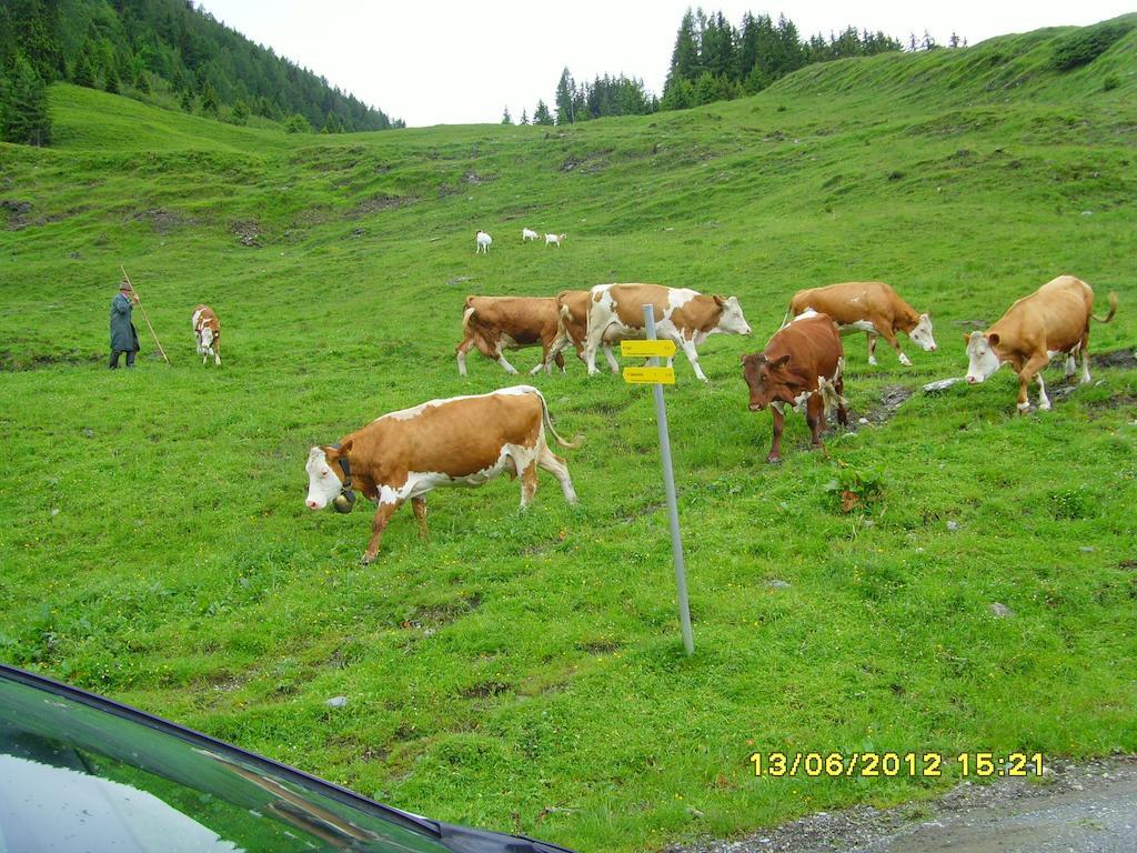 Feriendorf Ponyhof Fusch an der Grossglocknerstrasse Extérieur photo