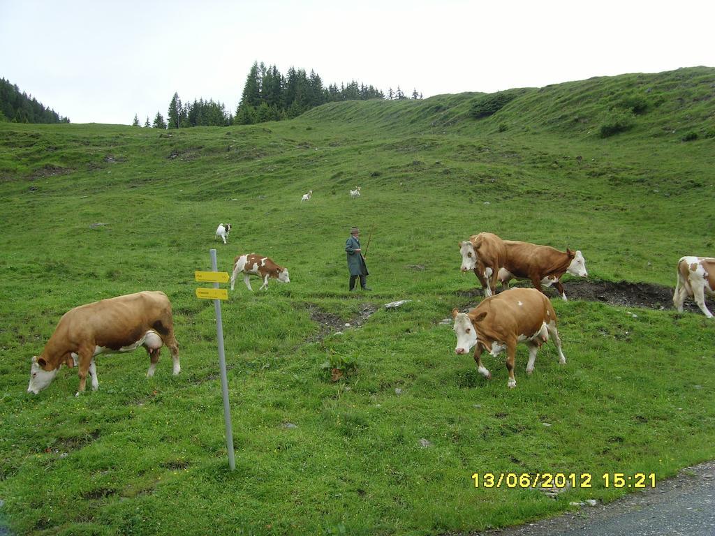 Feriendorf Ponyhof Fusch an der Grossglocknerstrasse Extérieur photo